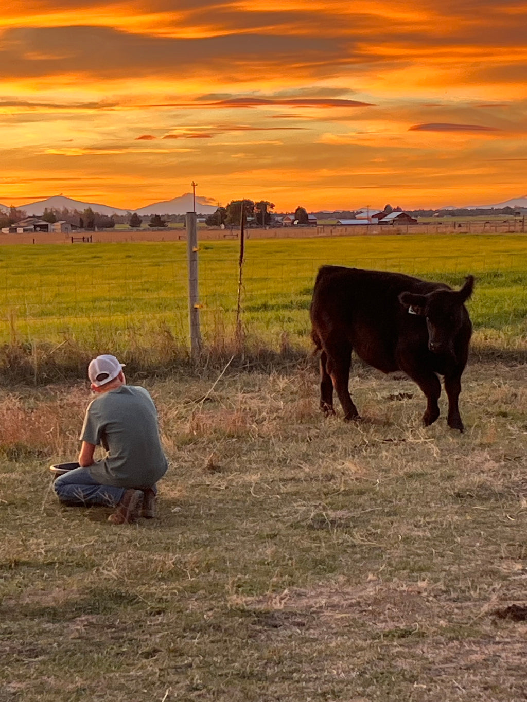 Beef Share options