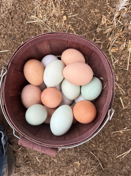 Farm fresh Eggs
